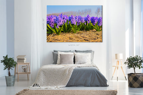 Canvas Print -  Blooming Hyacinths In Spring Forest #E0736