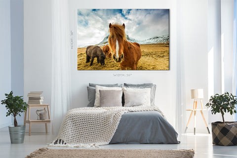 Impression sur toile - Chevaux dans les montagnes, Islande #E0892