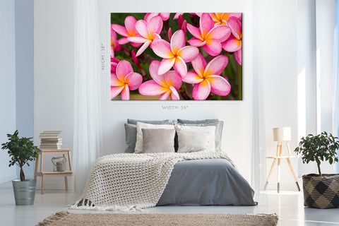 Impression sur toile - Fleurs de Plumeria rose #E0701