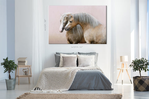 Canvas Print -  Two Welsh Ponies #E0904