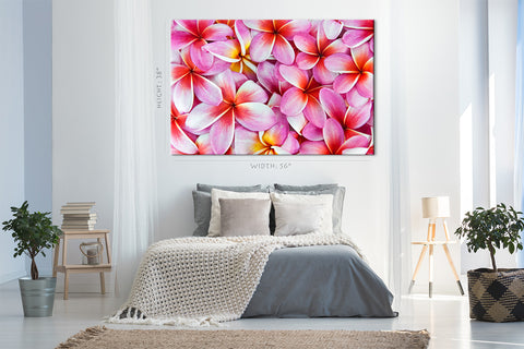 Impression sur toile - Fleurs de frangipanier #E0672