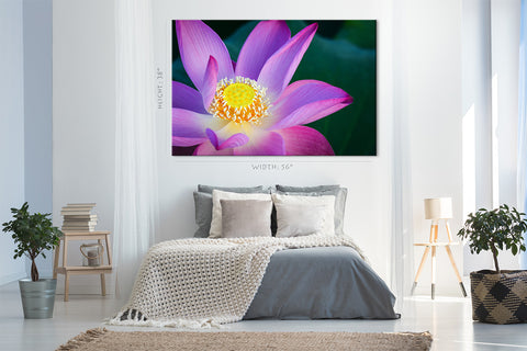 Impression sur toile - Fleur de lotus sur l'étang #E0635