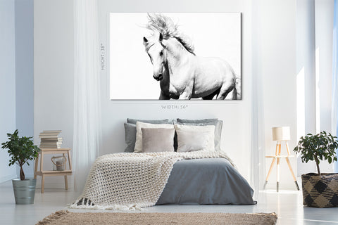 Impression sur toile - Cheval Arabe Blanc #E0911