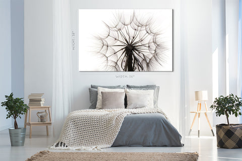 Canvas Print -  Beautiful Dandelion #E0815