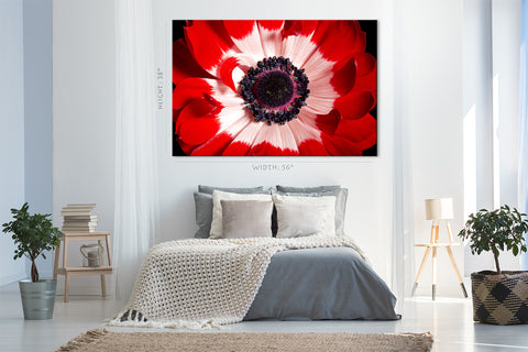 Canvas Print -  Red And White Anemone #E0694