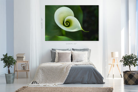 Impression sur toile - Belle calla blanche #E0659