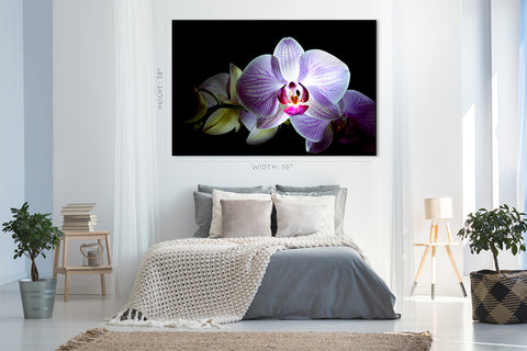 Impression sur toile - Belle fleur d'orchidée rose #E0661