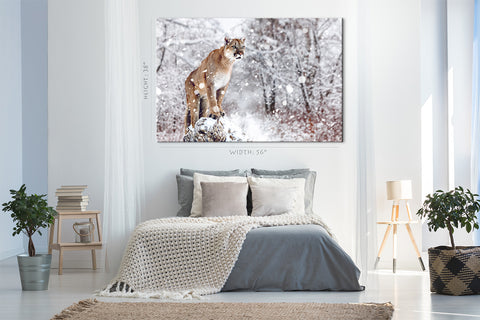 Canvas Print -  Portrait Of Cougar In Winter #E1023