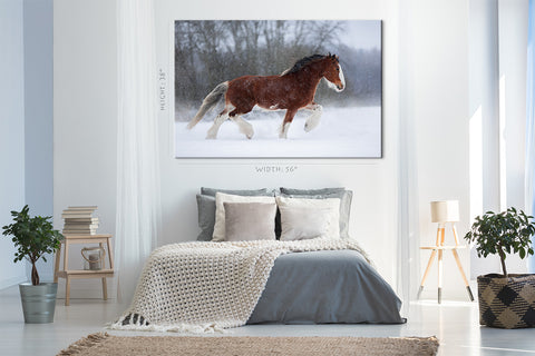 Canvas Print -  Brown Heavy Horse In Winter #E1014