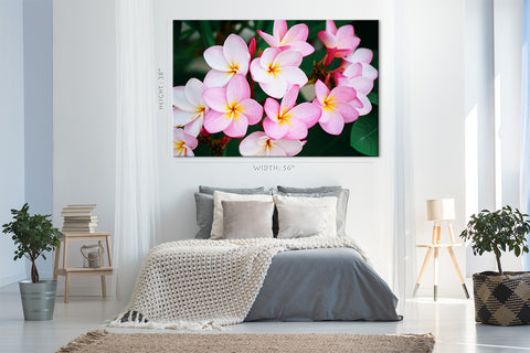 Impression sur toile - Plumeria rose, fleur exotique tropicale #E0640