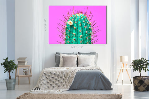 Canvas Print -  Green Cactus On Pink Background #E0804