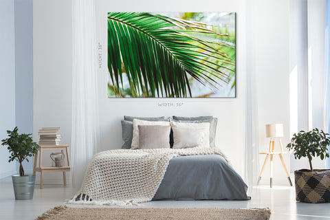 Canvas Print -  Morning Light At Green Palm Branch #E0714