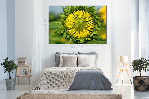 Impression sur toile - Tournesol en fleurs #E0695