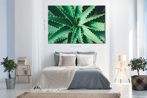 Canvas Print -  Green Aloe #E0703