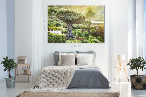 Canvas Print -  Ancient Dragon Tree #E0961