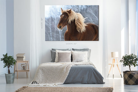 Canvas Print -  Brown Soviet Horse #E0905