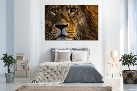 Canvas Print -  Portrait Of African Mighty Lion #E1029
