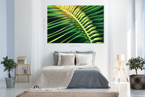 Canvas Print -  Sunlight Shining On Tropical Palm Leaf #E0641