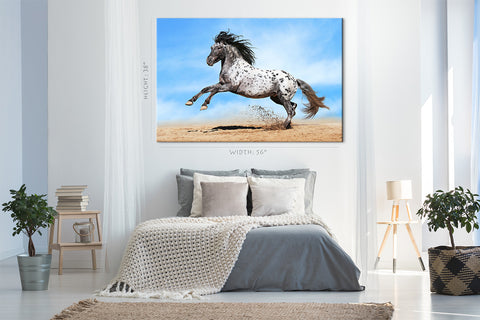 Impression sur toile - Cheval Appaloosa #E0903