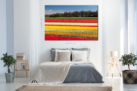 Canvas Print -  Field Of Tulips, Netherlands #E0748