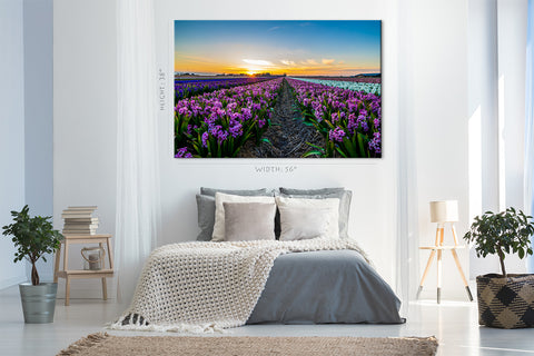 Canvas Print -  Hyacinth Field At Sunset #E0742