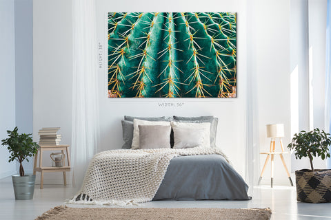 Impression sur toile - Cactus épineux #E0639