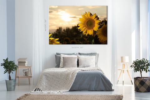 Canvas Print -  Close Up Of Sunflowers At Sunset #E0734