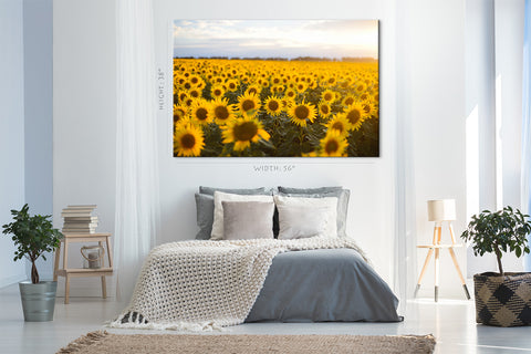 Canvas Print -  Golden Field Of Sunflowers #E0724