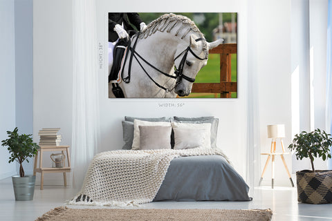 Canvas Print -  Pura Raza Espanola Andalusian Horse #E0901