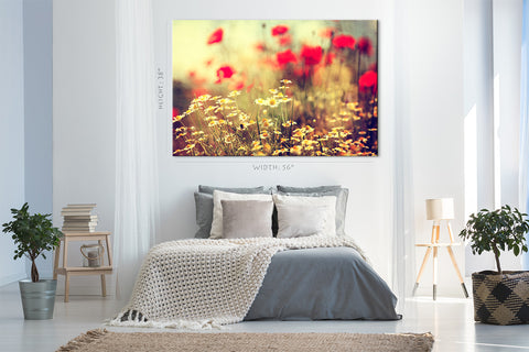 Canvas Print -  Daises At Morning #E0844