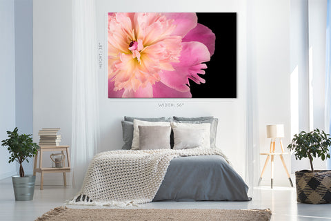 Impression sur toile - Pivoine rose #E0688