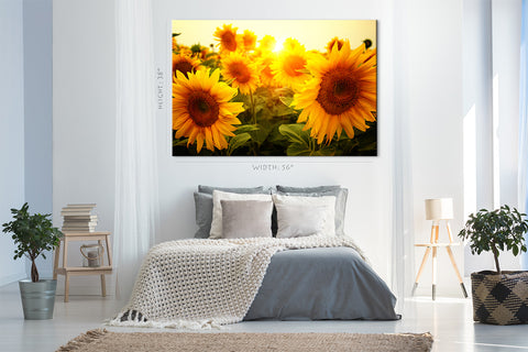 Impression sur toile - Champ de tournesols au lever du soleil #E0733