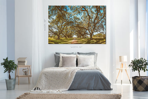 Impression sur toile - Vue panoramique de la plantation d'Oak Alley, Louisiane #E0960