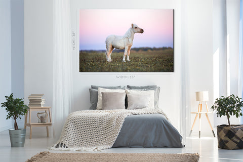Canvas Print -  White Pony In Field At Sunset #E0956