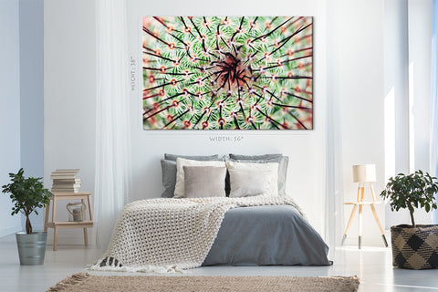 Impression sur toile - Cactus épineux #E0637