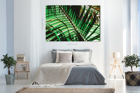 Canvas Print -  Green Palm Branch At Morning #E0725