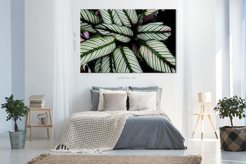 Canvas Print -  Striped Tropical Leafs #E0634