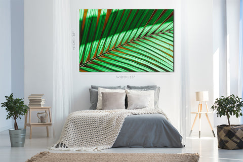 Canvas Print -  Green Palm Branch #E0716