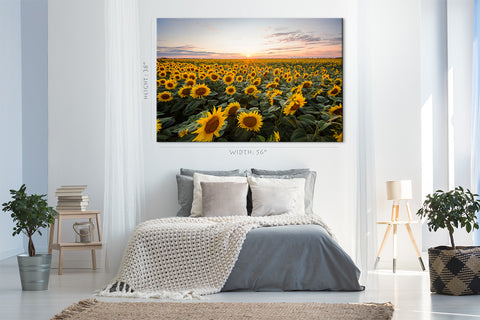 Canvas Print -  Blooming Sunflowers At Sunset #E0735