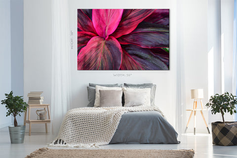 Canvas Print -  Leafs Of Spathiphyllum Cannifolium #E0646