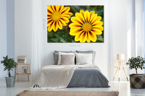 Impression sur toile - Fleur tropicale Gazania #E0696