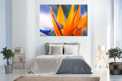 Impression sur toile - Fleur d'oiseau de paradis au coucher du soleil #E0665