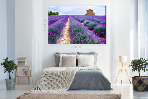 Canvas Print -  Lavender Field #E0758