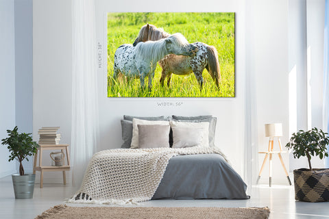 Canvas Print -  Two Appaloosa Ponies On The Meadow #E0902