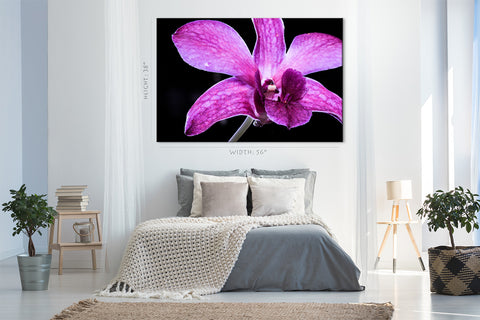 Canvas Print -  Pink Orchid #E0663