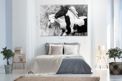 Canvas Print -  Two Horses In Forest #E0913