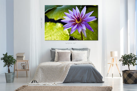 Impression sur toile - Lotus violet thaïlandais sur l'étang #E0660