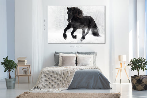Canvas Print -  Black Frisian Horse In Winter #E1018
