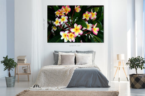 Impression sur toile - Fleurs de Plumeria dans le parc #E0708