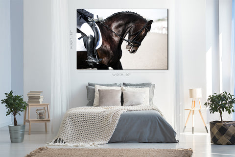 Canvas Print -  Portrait Of Sports Horse #E1020